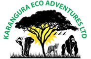 Karangura Eco Adventures |   Hello world!